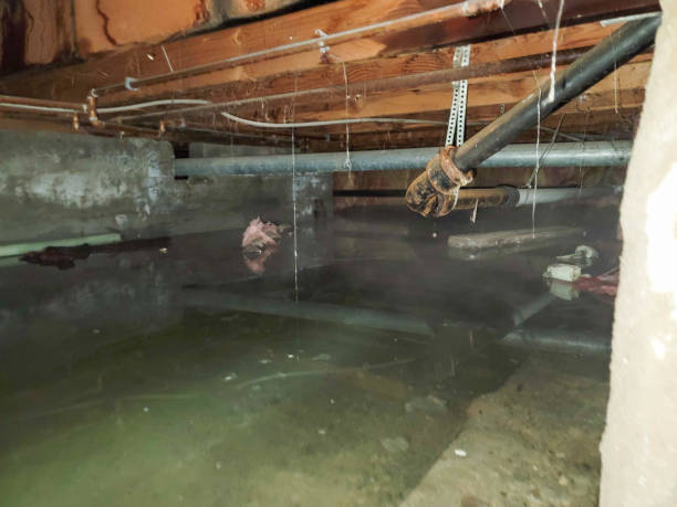 Best Water damage restoration near me  in Perkins, OK