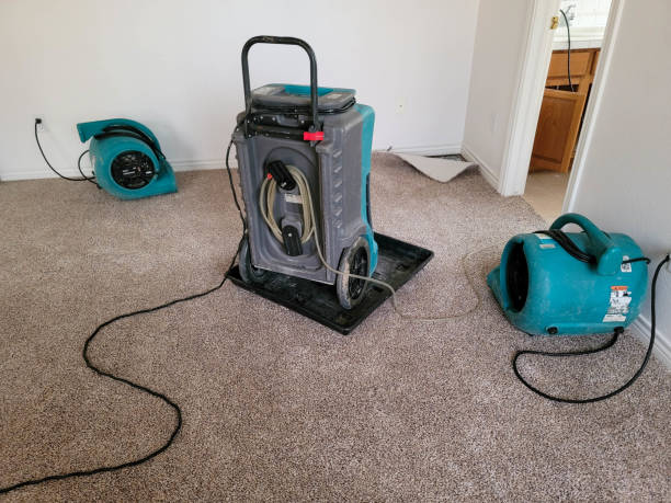 Best 24/7 water damage repair  in Perkins, OK