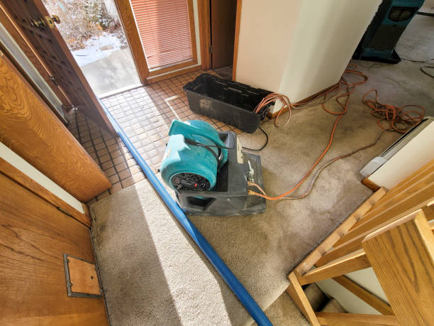 Best Local water damage restoration  in Perkins, OK