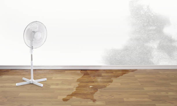 Best Carpet water damage restoration  in Perkins, OK