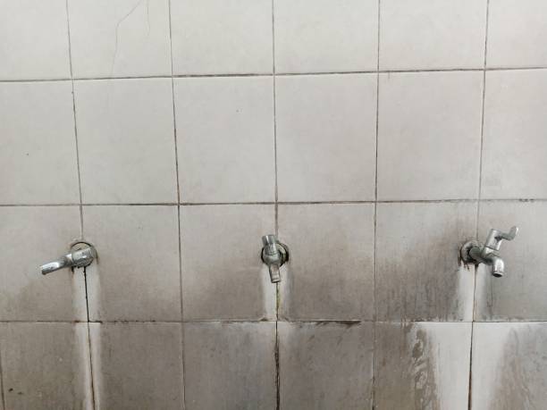 Best Ceiling water damage repair  in Perkins, OK
