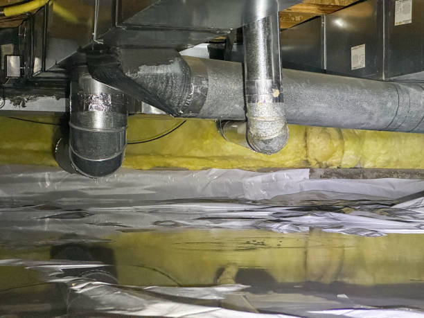 Best Carpet water damage restoration  in Perkins, OK