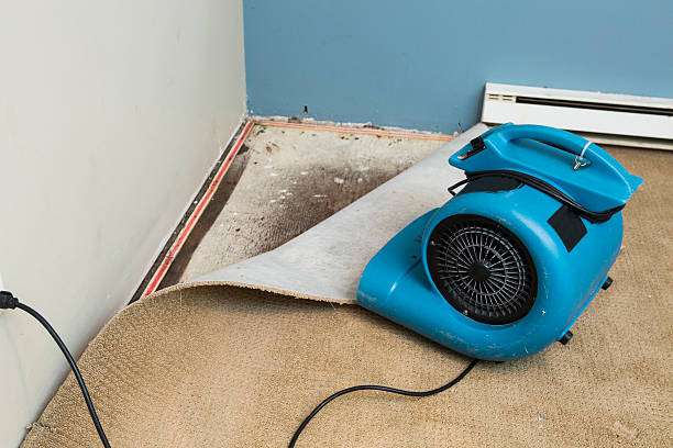 Best Flooded house restoration  in Perkins, OK